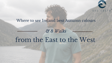 Where to See Ireland's Best Autumn Colour: 8 Walks from Wicklow to Mayo