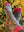 99s (Ice Cream) Socks - Organic Cotton Socks